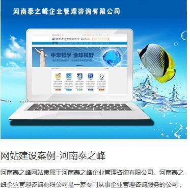 【焦作網(wǎng)站開發(fā)實力排行榜/網(wǎng)站開發(fā)實力哪家強/高端網(wǎng)站建設(shè)公司】價格,廠家,網(wǎng)站建設(shè)-搜了網(wǎng)