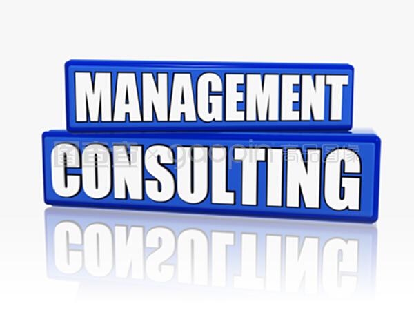 藍(lán)色區(qū)塊的管理咨詢 戰(zhàn)略規(guī)劃與效率提升的融合之道